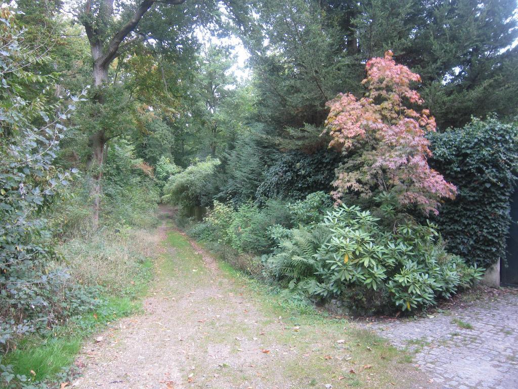 B&B 2 Zen Detente Coye-la-Forêt Εξωτερικό φωτογραφία