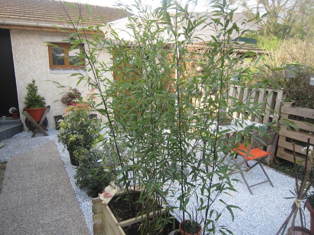 B&B 2 Zen Detente Coye-la-Forêt Εξωτερικό φωτογραφία